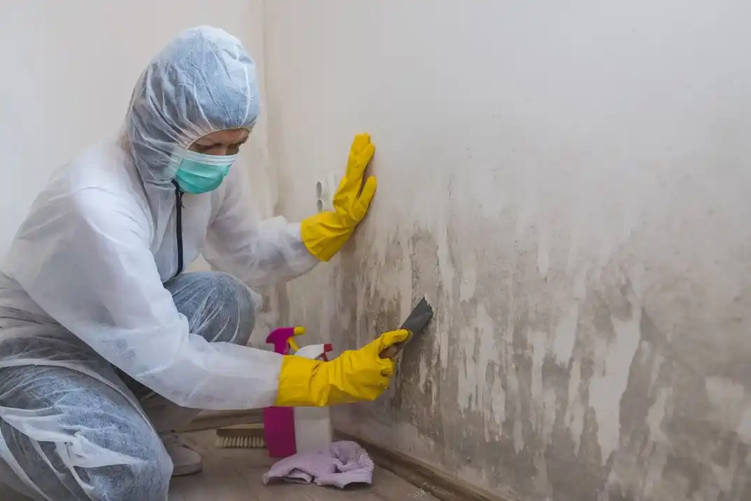 water damage restoration service Great Neck Village
